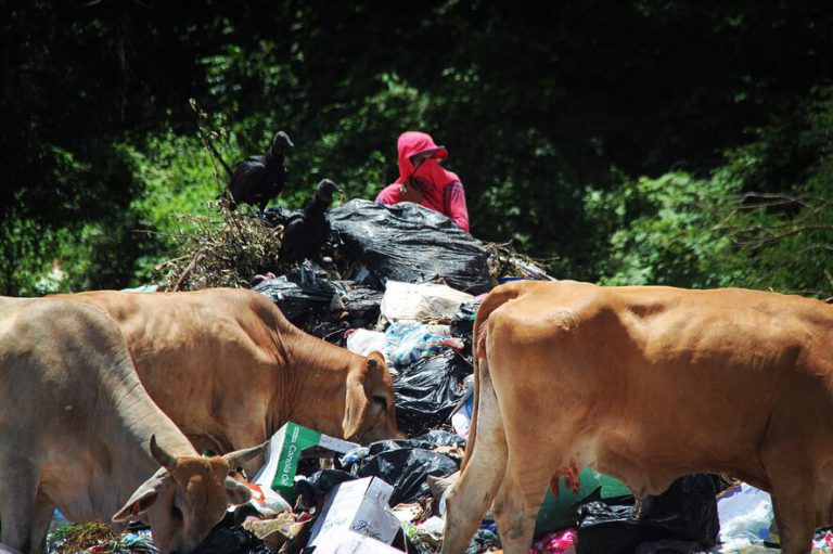 Nicaragua dumpster 2