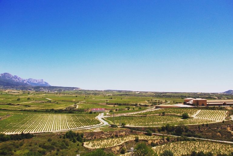 La Rioja 4