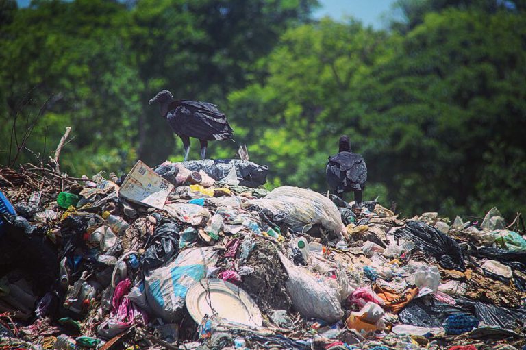 Nicaragua dumpster 6