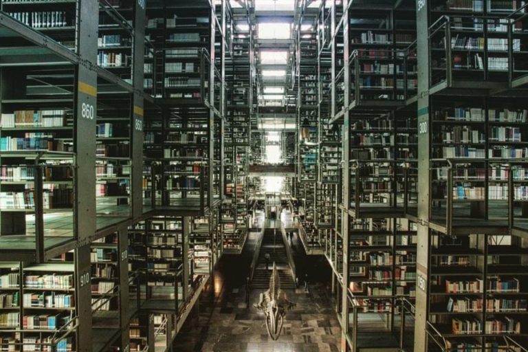 Biblioteca José Vasconcelos 2