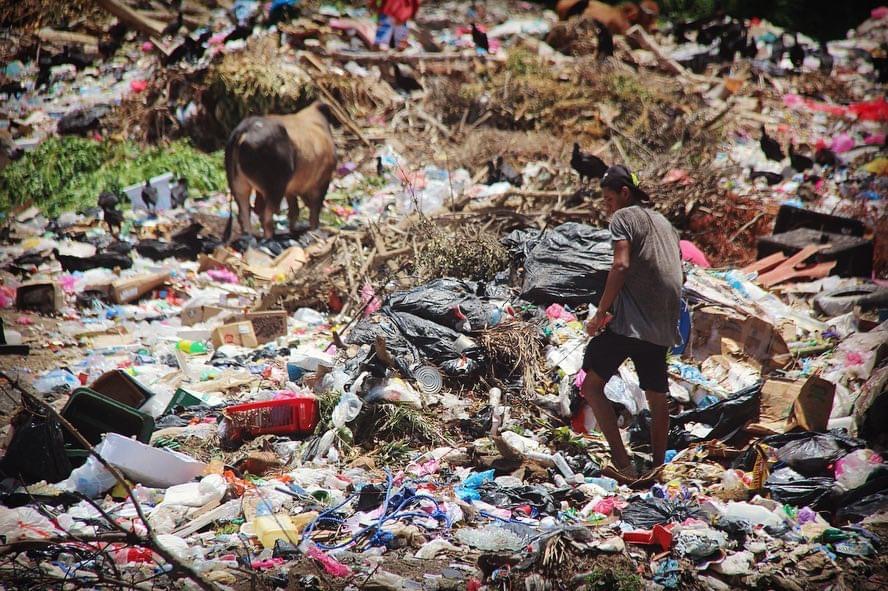 One man's trash is another's survival
