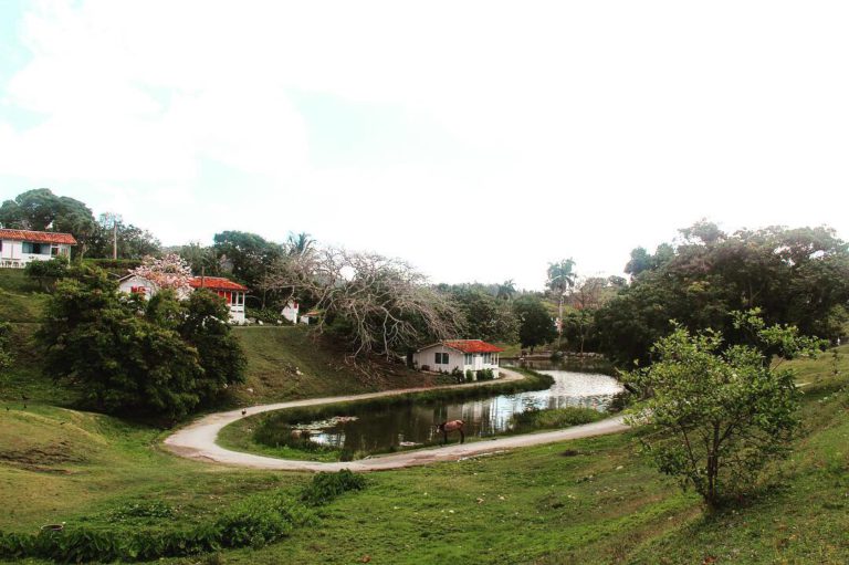 Las Terrazas 1