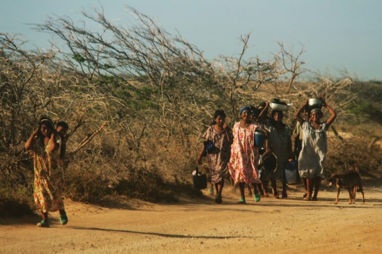 The Wayuu