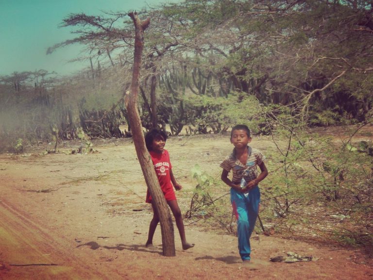 Wayuu children