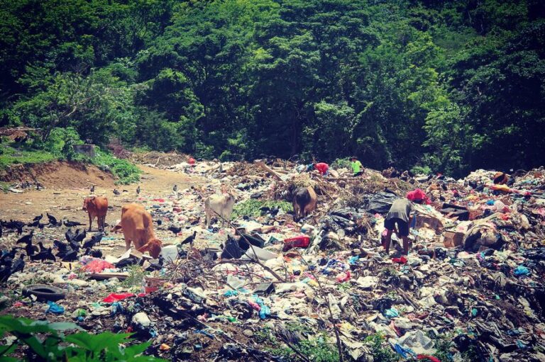 Nicaragua dumpster 8